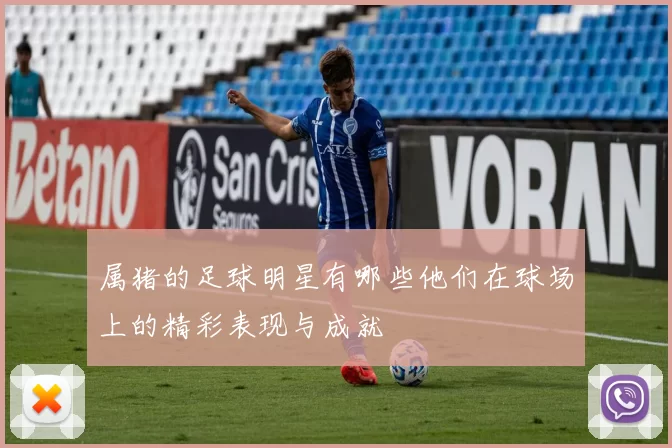 属猪的足球明星有哪些他们在球场上的精彩表现与成就