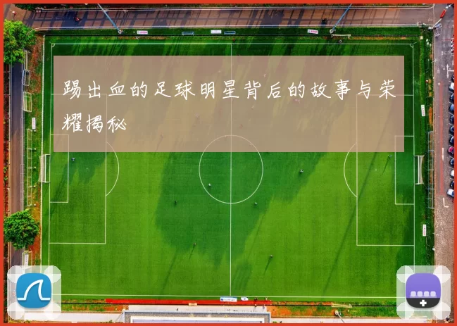 踢出血的足球明星背后的故事与荣耀揭秘