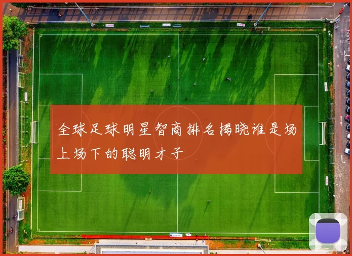 全球足球明星智商排名揭晓谁是场上场下的聪明才子