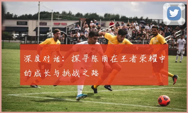 深度对话：探寻陈丽在王者荣耀中的成长与挑战之路