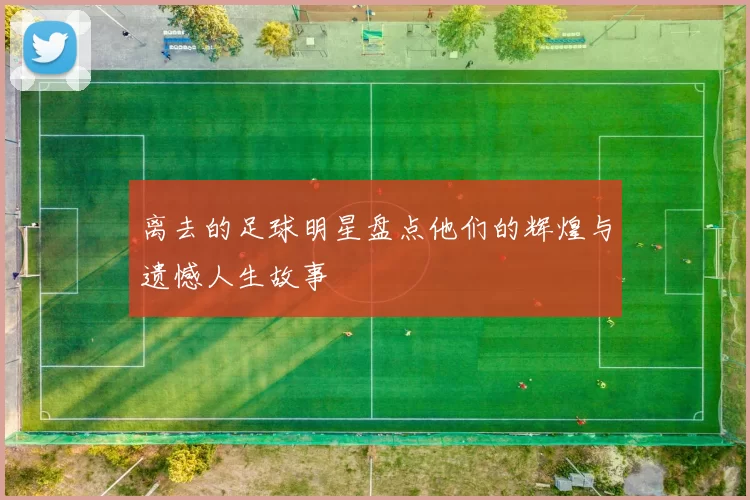 离去的足球明星盘点他们的辉煌与遗憾人生故事