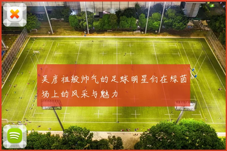 吴彦祖般帅气的足球明星们在绿茵场上的风采与魅力