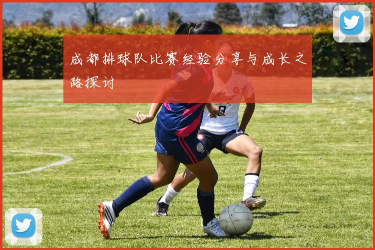 成都排球队比赛经验分享与成长之路探讨