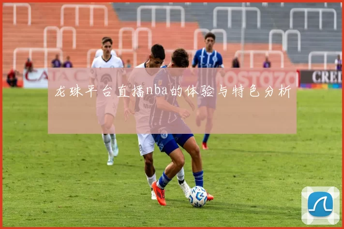 龙珠平台直播nba的体验与特色分析