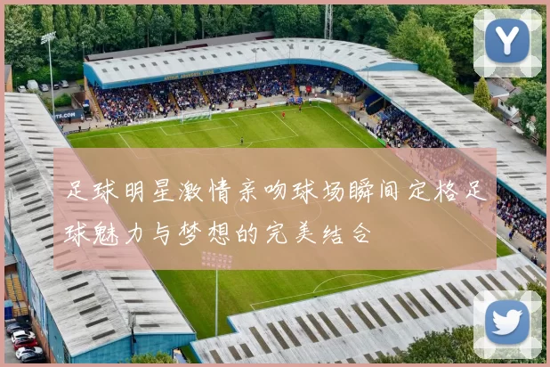足球明星激情亲吻球场瞬间定格足球魅力与梦想的完美结合