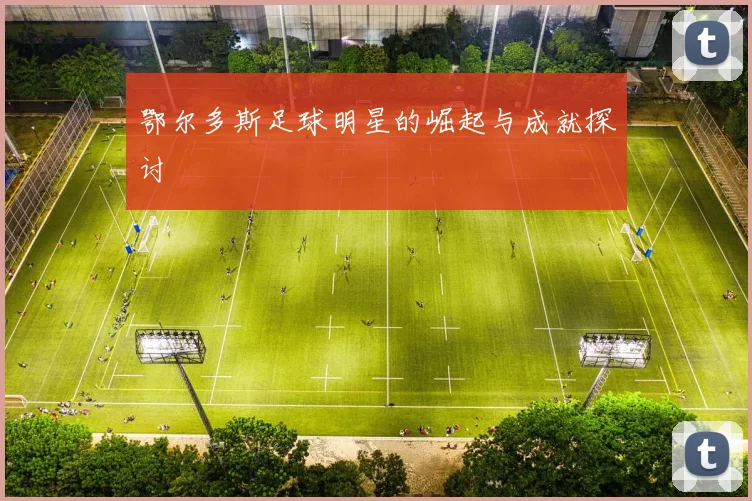 鄂尔多斯足球明星的崛起与成就探讨