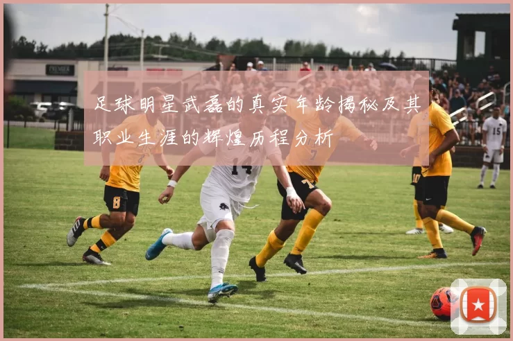 足球明星武磊的真实年龄揭秘及其职业生涯的辉煌历程分析