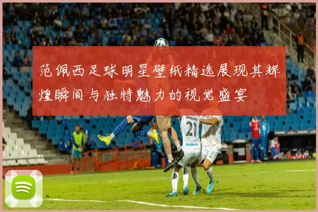 范佩西足球明星壁纸精选展现其辉煌瞬间与独特魅力的视觉盛宴