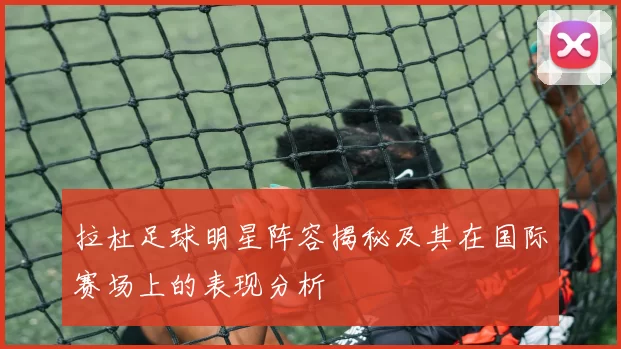 拉杜足球明星阵容揭秘及其在国际赛场上的表现分析