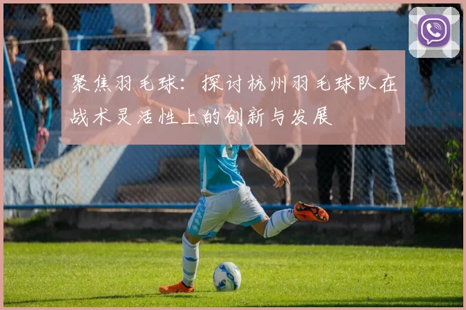 聚焦羽毛球：探讨杭州羽毛球队在战术灵活性上的创新与发展