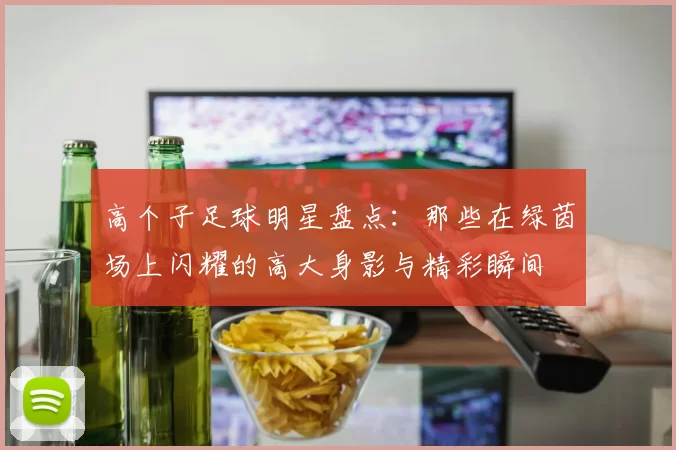 高个子足球明星盘点：那些在绿茵场上闪耀的高大身影与精彩瞬间