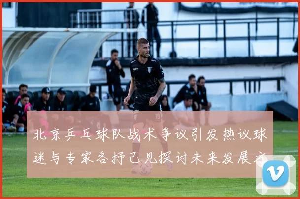 北京乒乓球队战术争议引发热议球迷与专家各抒己见探讨未来发展方向