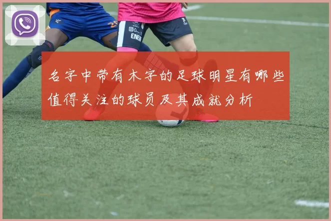 名字中带有木字的足球明星有哪些值得关注的球员及其成就分析