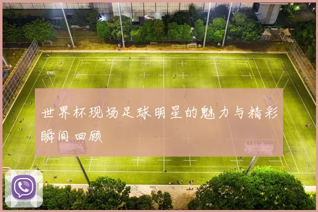 世界杯现场足球明星的魅力与精彩瞬间回顾
