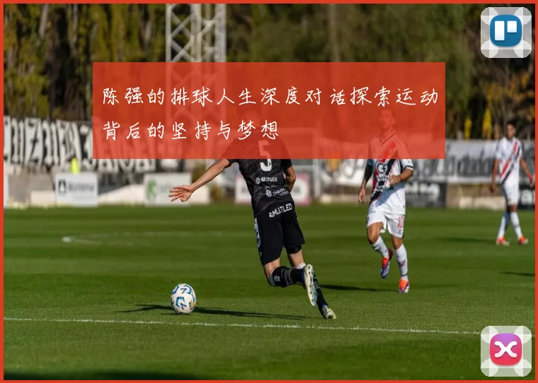 陈强的排球人生深度对话探索运动背后的坚持与梦想