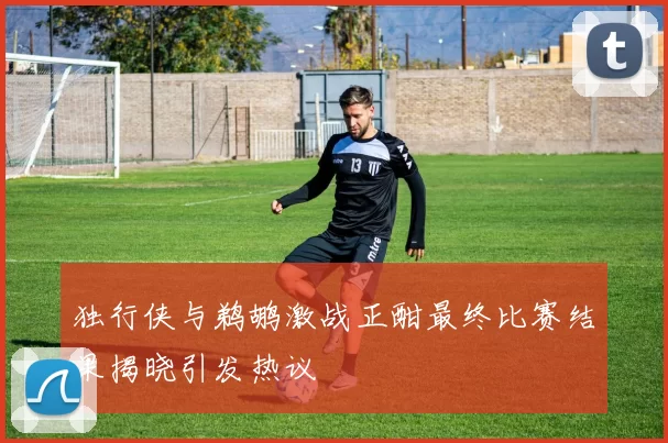 独行侠与鹈鹕激战正酣最终比赛结果揭晓引发热议