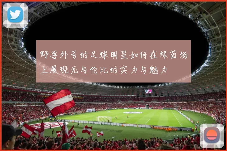 野兽外号的足球明星如何在绿茵场上展现无与伦比的实力与魅力