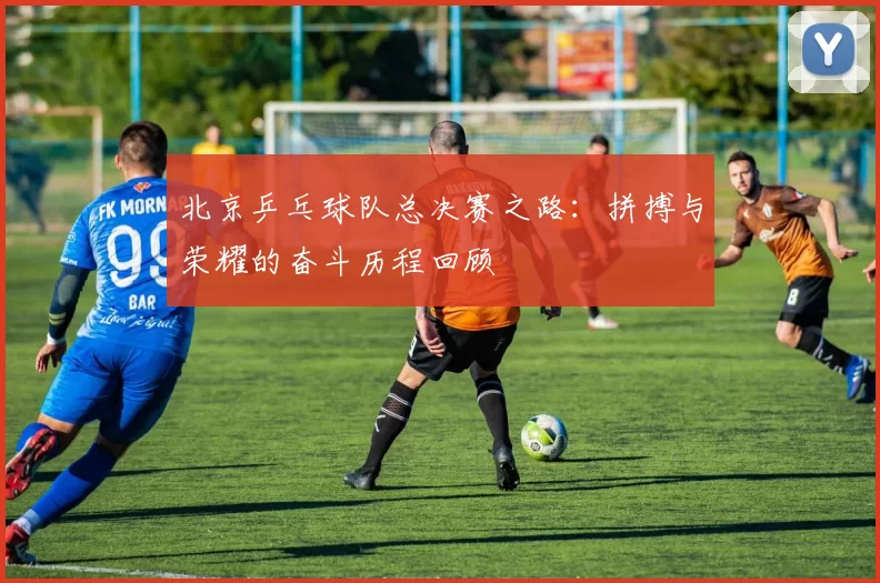 北京乒乓球队总决赛之路：拼搏与荣耀的奋斗历程回顾