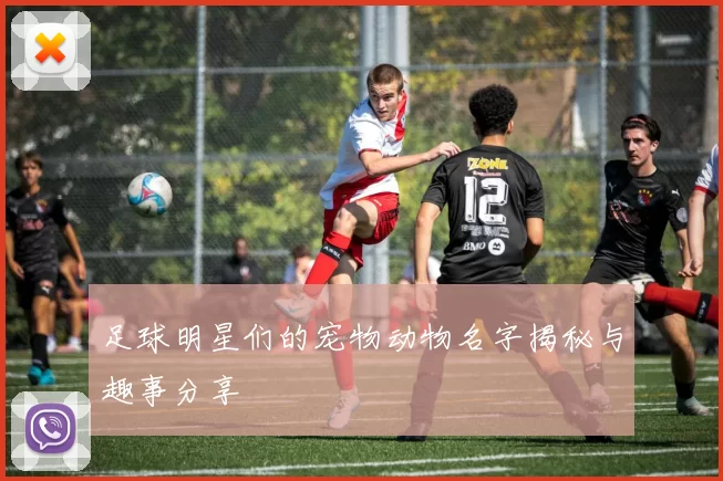 足球明星们的宠物动物名字揭秘与趣事分享
