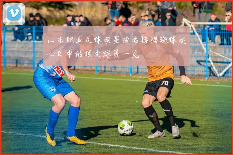山东职业足球明星排名榜揭晓球迷心目中的顶尖球员一览